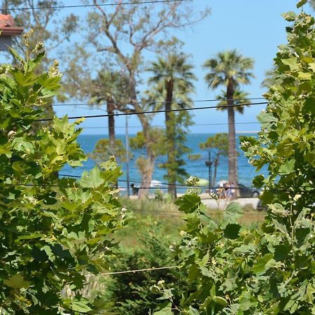Vlorë Lungomare Private Rooms מראה חיצוני תמונה